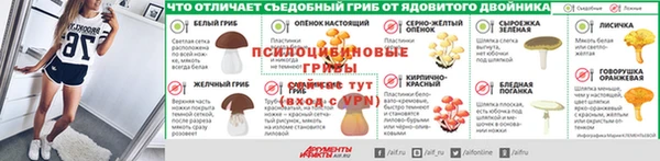 тгк Кодинск