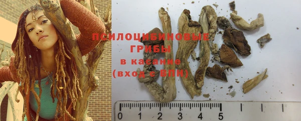 тгк Кодинск