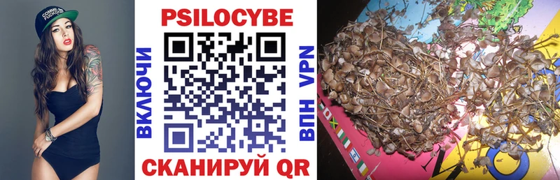 Галлюциногенные грибы мицелий  Купить закладки  Оса 